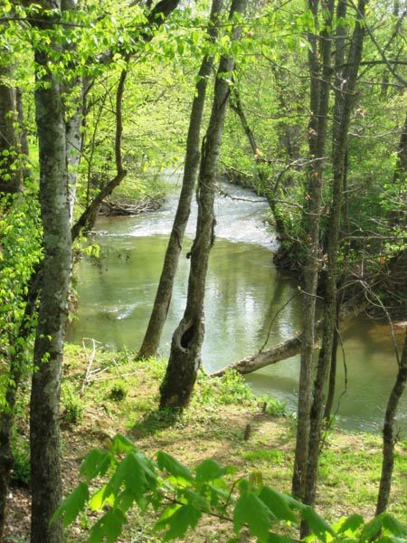 Creek In The Great Smoky Mountains Creek In The Great Smoky Mountains