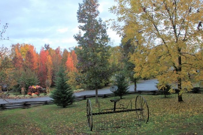fall-scene fall-scene