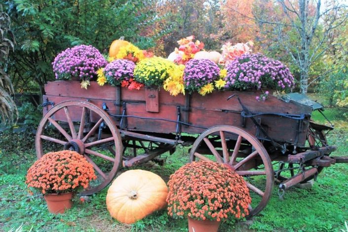 fall-wagon fall-wagon