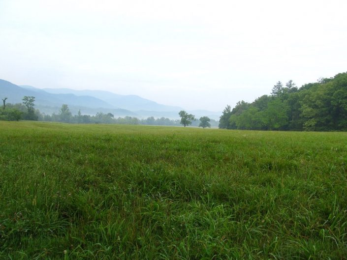 Cades Cove Tennessee Cades Cove Tennessee
