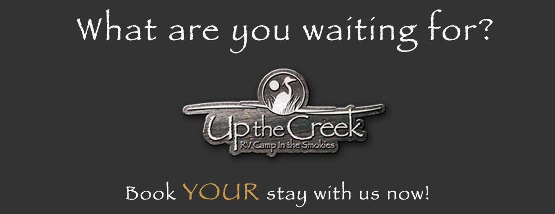Up The Creek RV Camp Banner Up The Creek RV Camp Banner