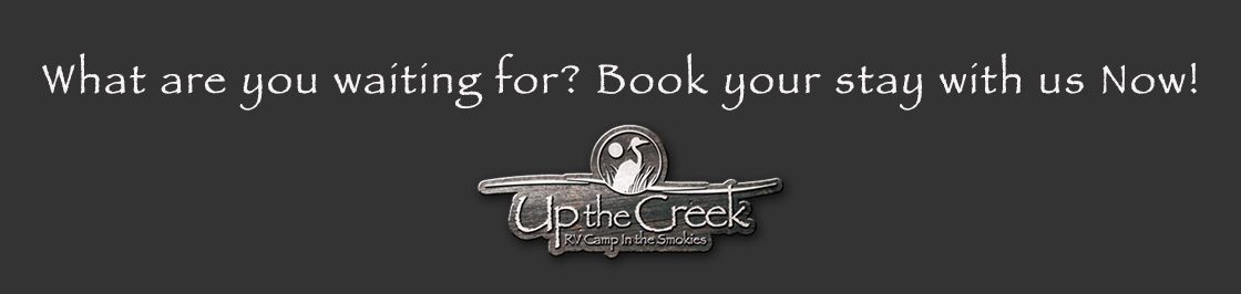 CTA Banner For Up The Creek CTA Banner For Up The Creek