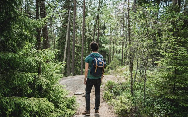 Man Wearing A Backpack Hiking The Great Smoky Mountains Man Wearing A Backpack Hiking The Great Smoky Mountains