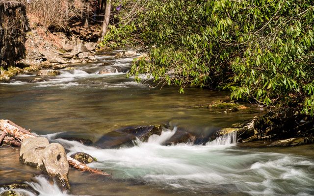 A Creek In Smoky Mtn National Park A Creek In Smoky Mtn National Park